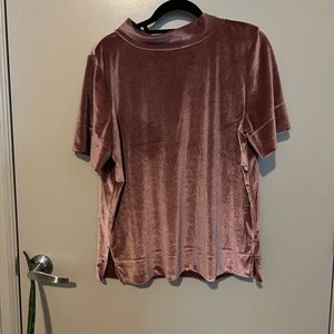 Anthropologie Rose velvet top
